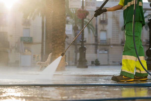 Best Pressure Washing Driveway  in Stlman Valley, IL